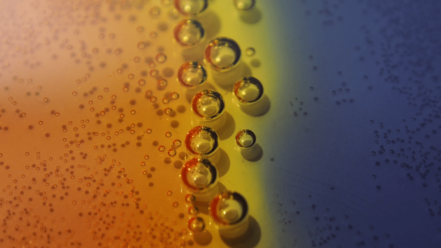 Ceramic Car Coating: The Ultimate Guide to Protect Your Vehicle