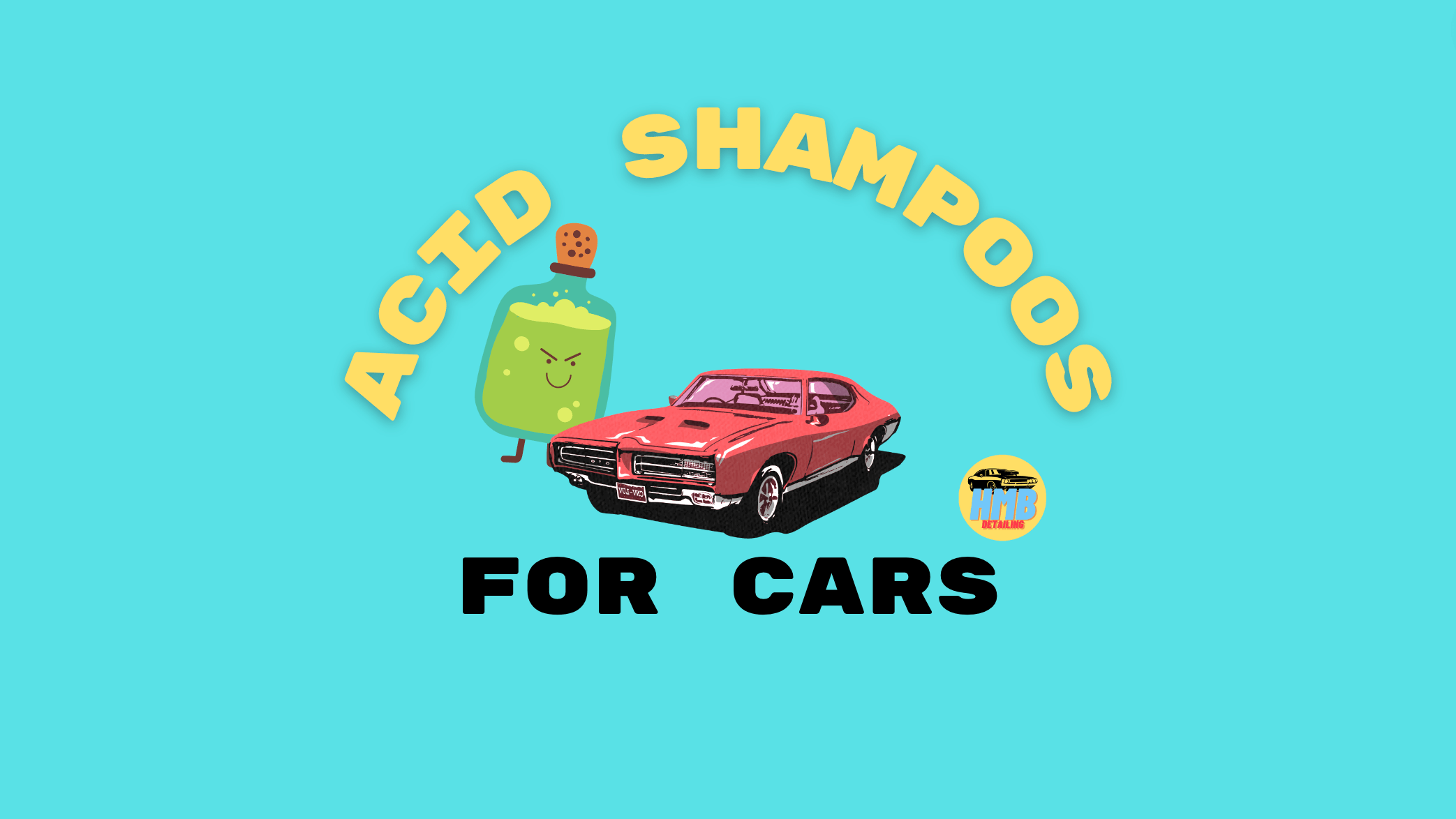 acid shampoo for cars